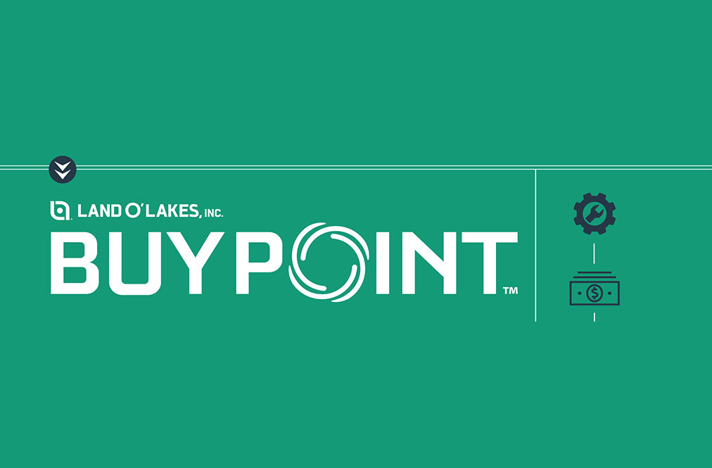 Buypoint Graphic Image