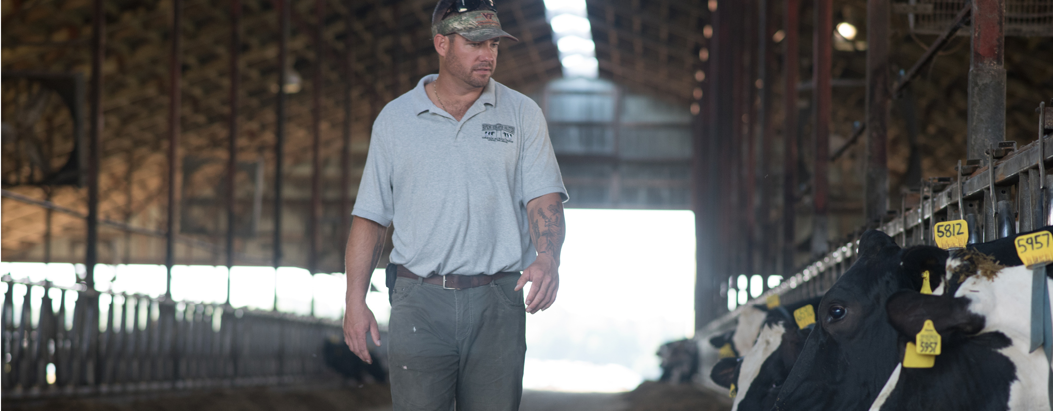 Burli Hopkins Walking Through His Dairy Cow Facility