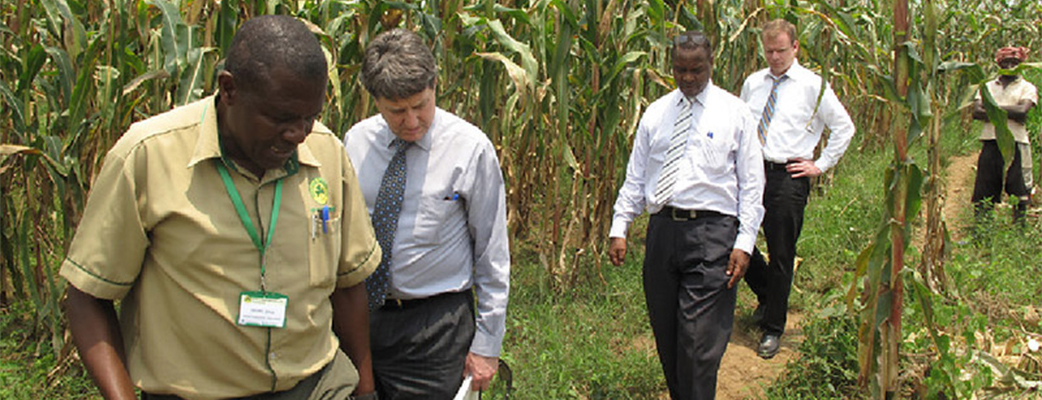 Kasaija Shows WinField And Land O’Lakes International Development Colleagues Around A Maize Field.