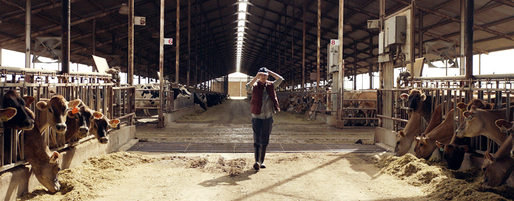 Still Image of Commercial Showing Member In Dairy Barn