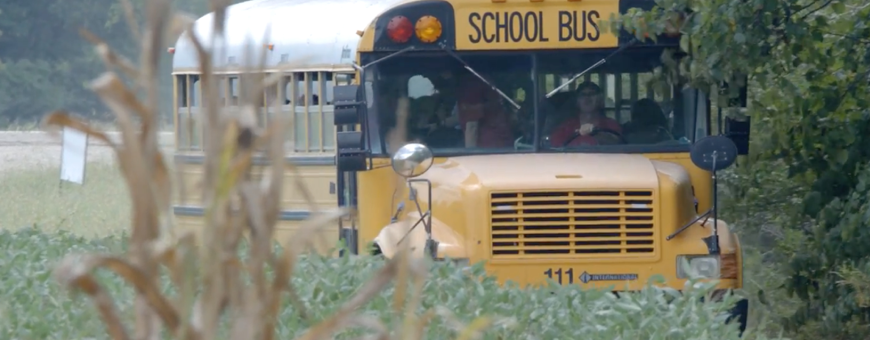 A School Bus In A Rural Area